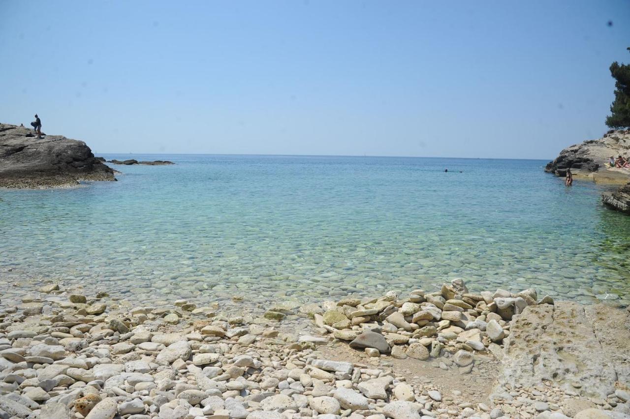 Petar * Pula